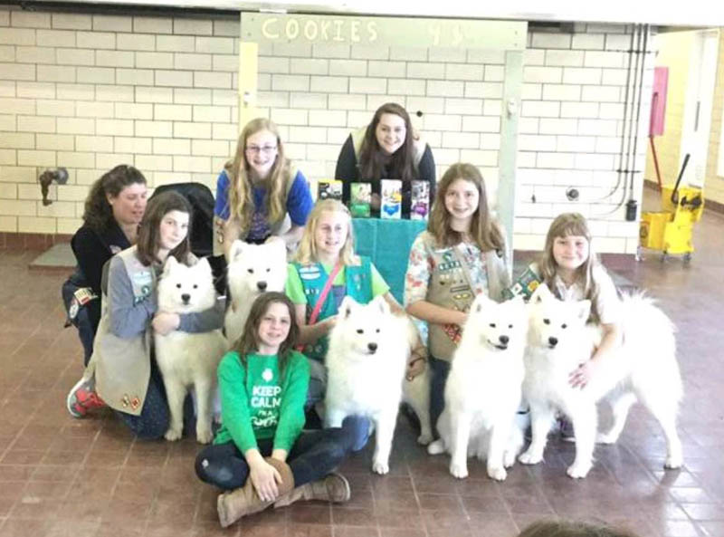 Girl Scounts and SFX Samoyeds