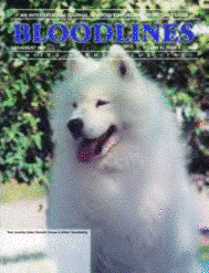 Gizmo on UKC Bloodlines cover Jul/Aug 1999
